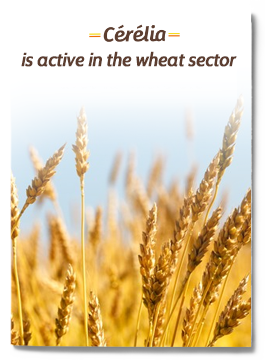 Cérélia is active in the wheat sector