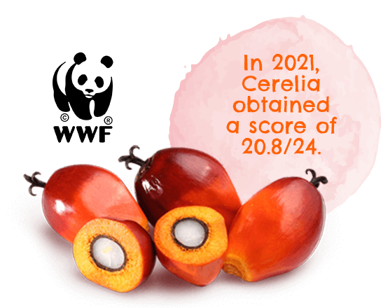 wwf wwf cérélia partenaire
