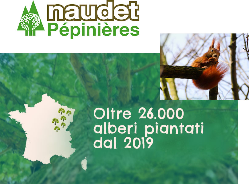 arbres plantés grâce aux entreprises Cérélia