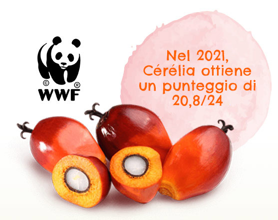 wwf_cerelia wwf cerelia